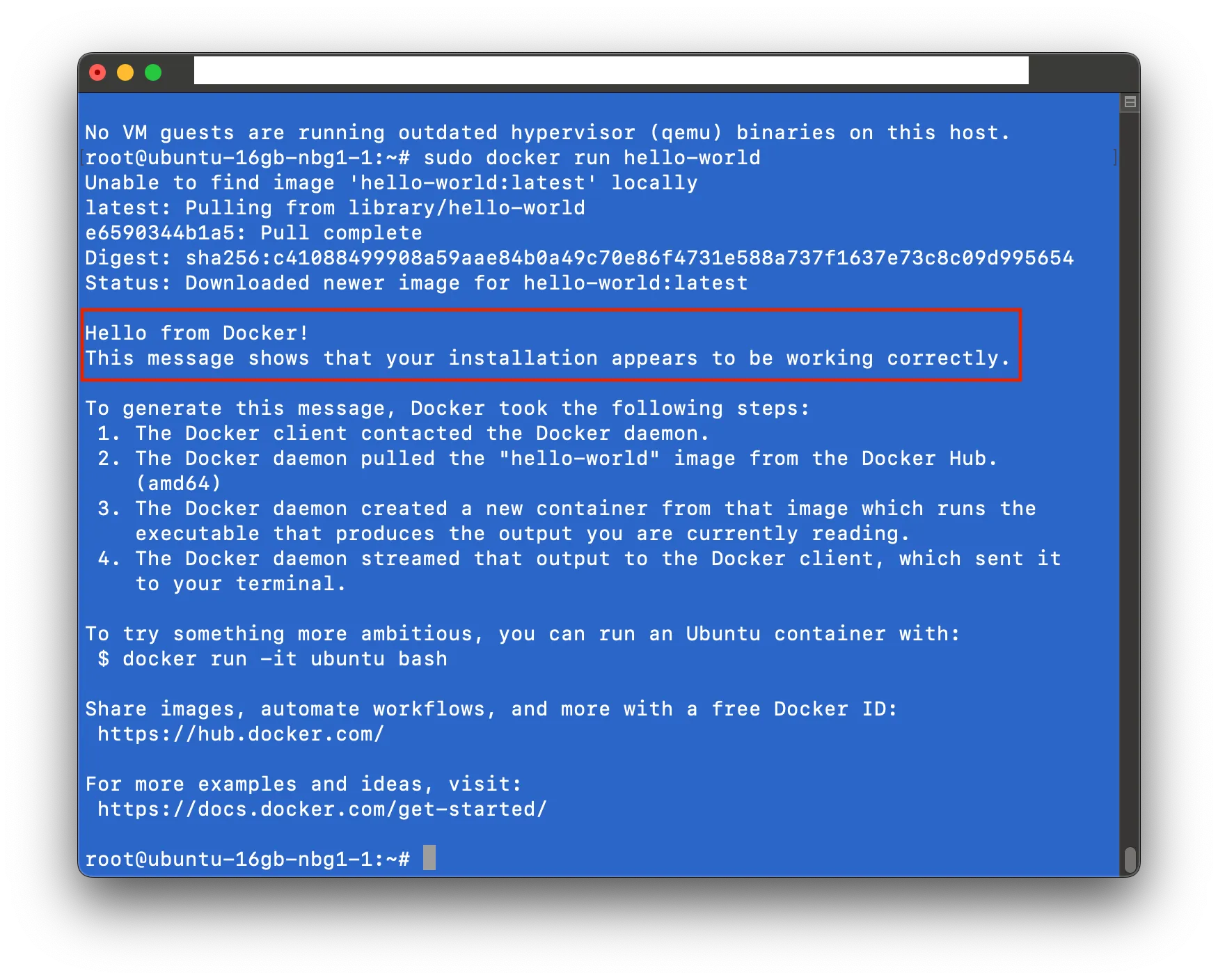 Cloud Instance Verify Docker Screenshot